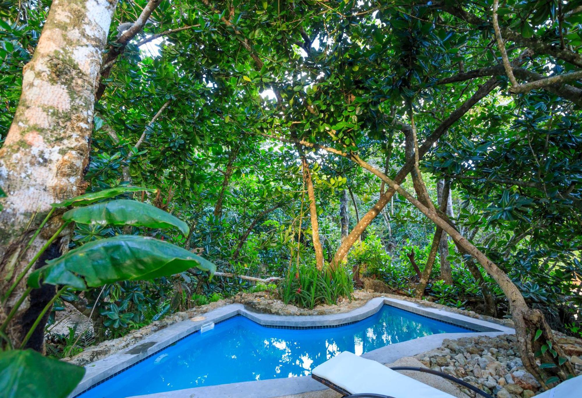 Savasi Island Resort Savusavu Room photo